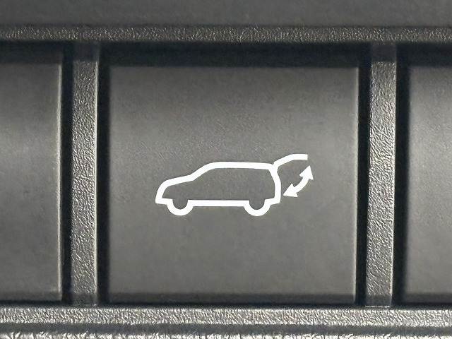 トヨタ ランドクルーザー250の画像12