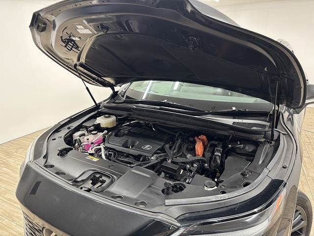 レクサス&nbsp;RXの画像18