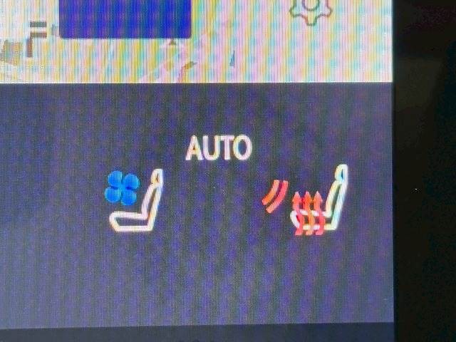 レクサス&nbsp;RXの画像10