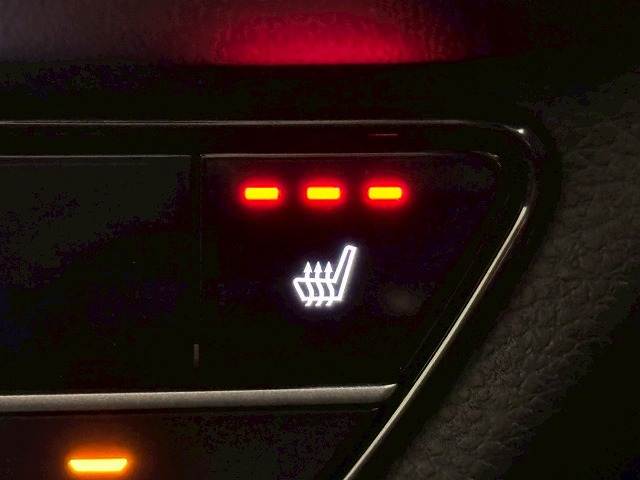 ホンダ&nbsp;ZR-Vの画像10