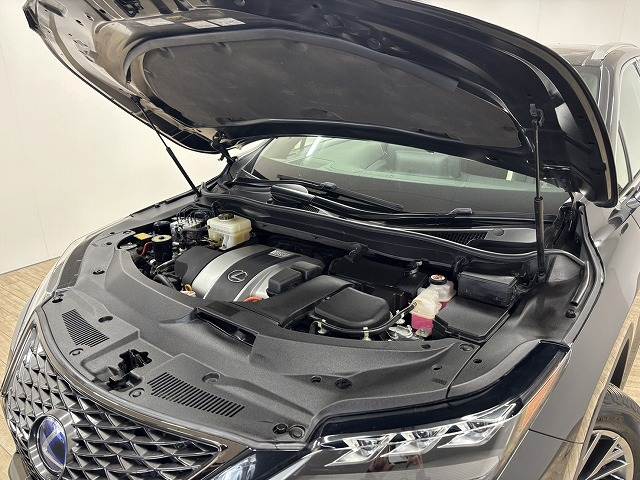 レクサス&nbsp;NXの画像18