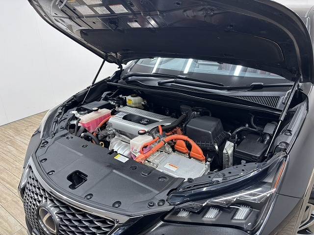 レクサス&nbsp;NXの画像18