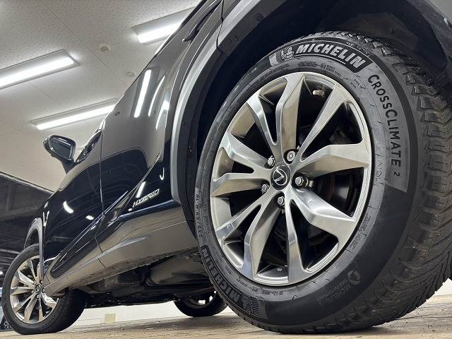 レクサス&nbsp;NXの画像19