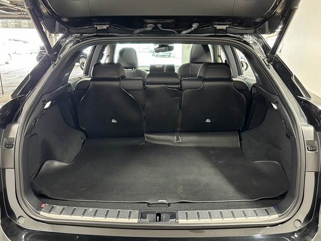 レクサス&nbsp;RXの画像13