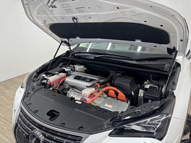 レクサス&nbsp;NXの画像18