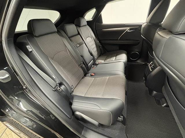 RXRX300 “F SPORT” 内装他