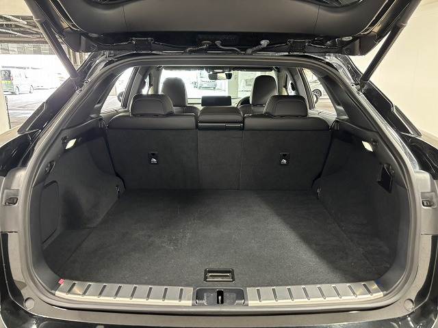 レクサス&nbsp;RXの画像13