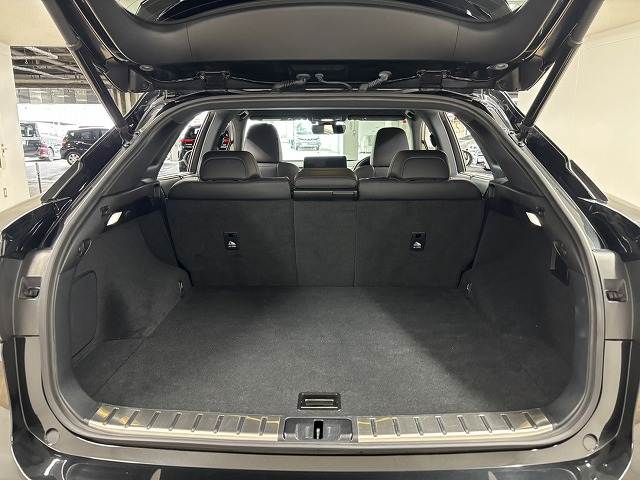 レクサス&nbsp;RXの画像13