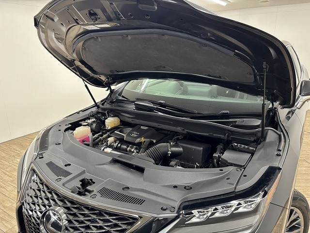 レクサス&nbsp;RXの画像18