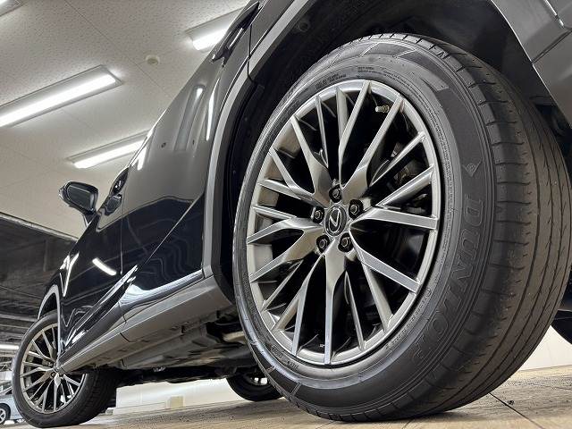 レクサス&nbsp;RXの画像19