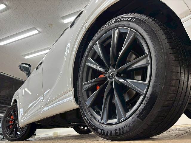 レクサス&nbsp;RXの画像19