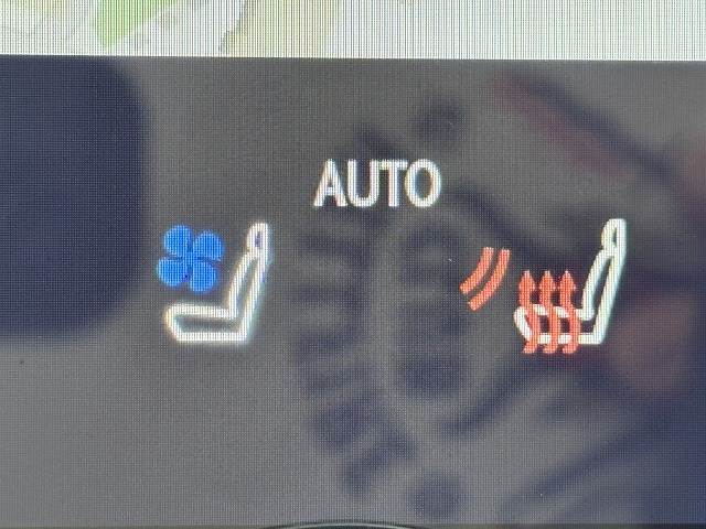 レクサス RXの画像12