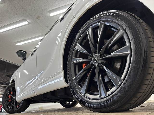 レクサス RXの画像19