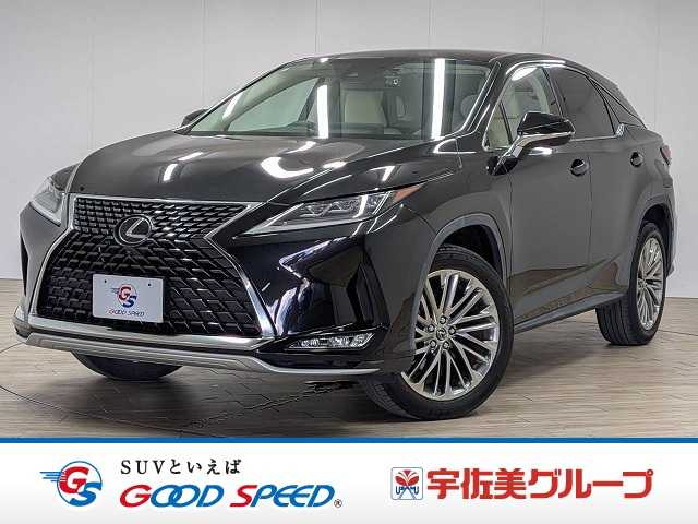 レクサスRXRX300 “version L” 外観