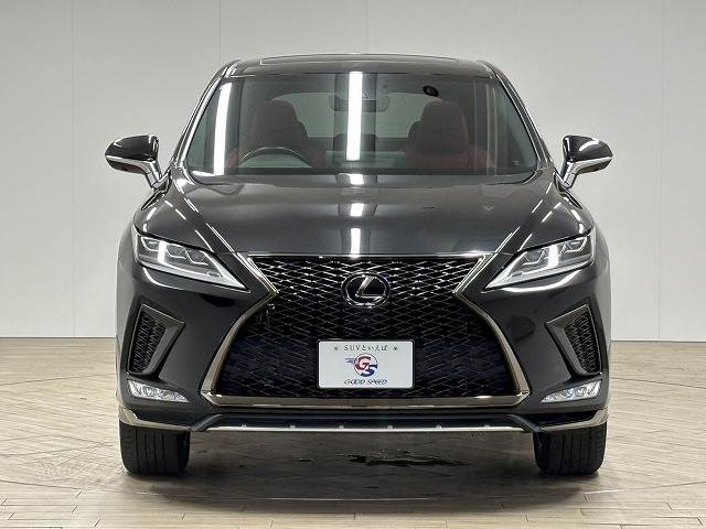 レクサス RXの画像15