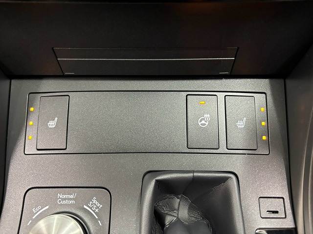 レクサス ISの画像8