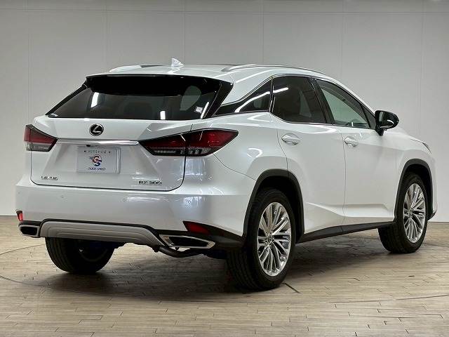 レクサス RXの画像16