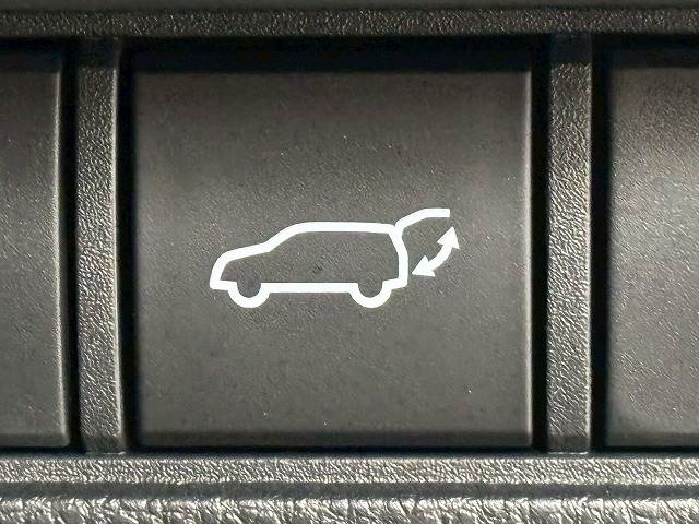 トヨタ ランドクルーザー250の画像12