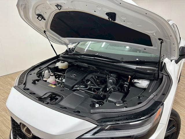 レクサス&nbsp;RXの画像18