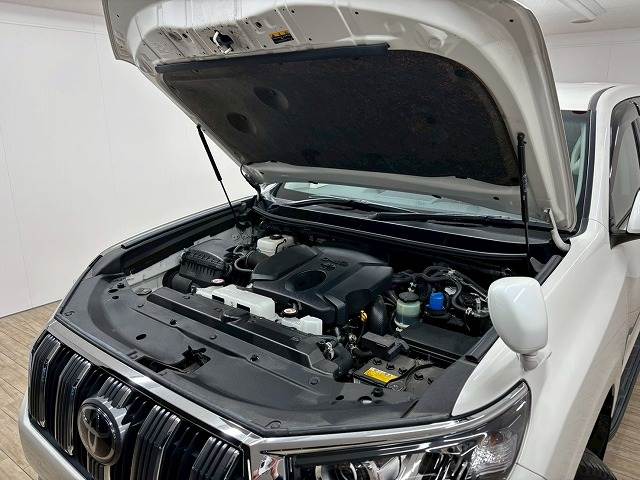 トヨタ&nbsp;ランドクルーザープラドの画像18