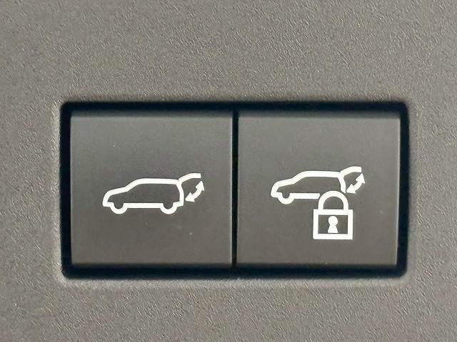 トヨタ ランドクルーザー250の画像12