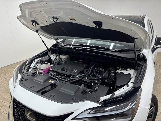 レクサス&nbsp;NXの画像18