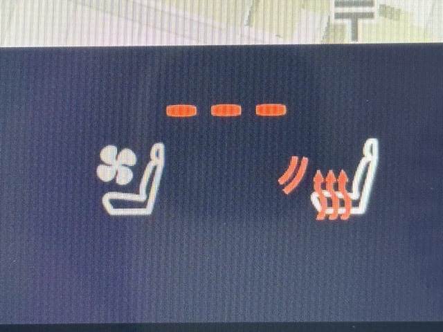 レクサス&nbsp;RZの画像8