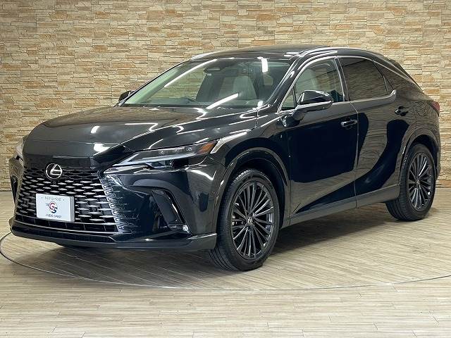 レクサス RXの画像14