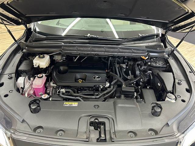 レクサス RXの画像18