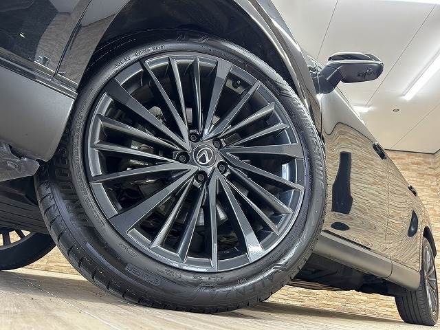 レクサス RXの画像19