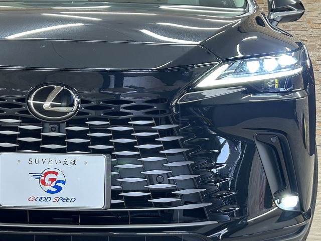 レクサス RXの画像20