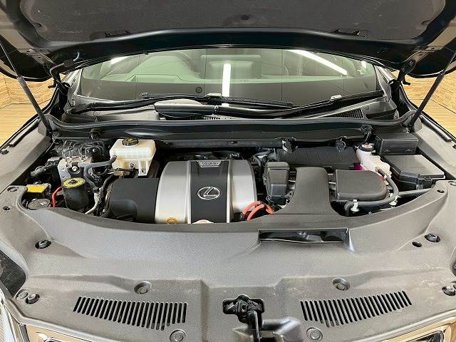 レクサス RXの画像18