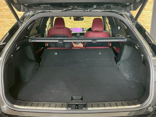 レクサス RXの画像13