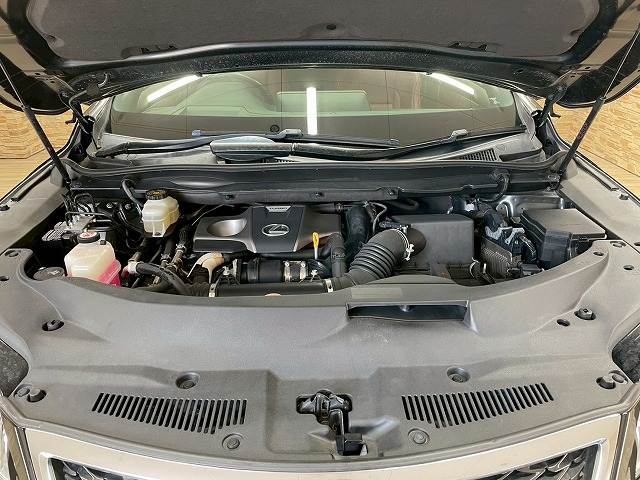 レクサス RXの画像18