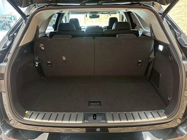 レクサス RXの画像13