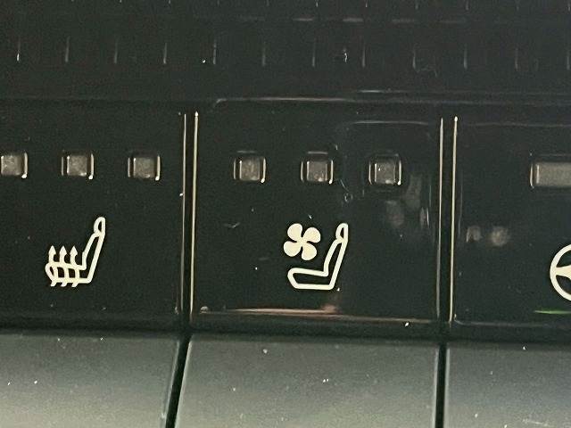 トヨタ ランドクルーザー250の画像11