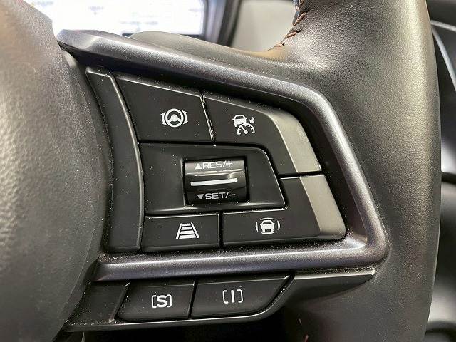 スバル レヴォーグ レイバックの画像7