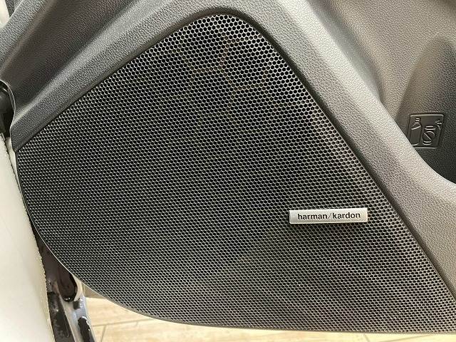 スバル レヴォーグ レイバックの画像10