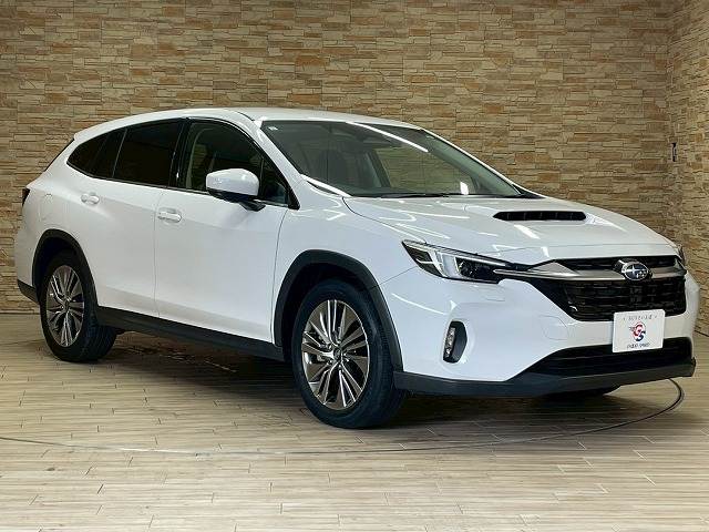 スバル レヴォーグ レイバックの画像15