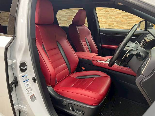 RXRX300 “F SPORT” 内装他