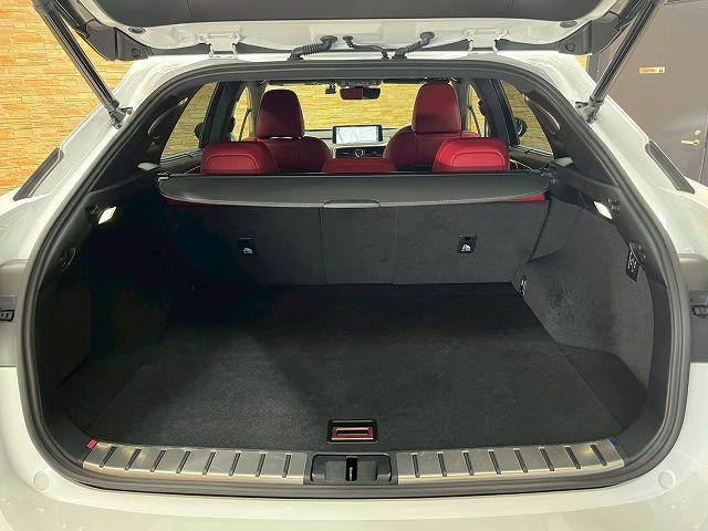 レクサス RXの画像13