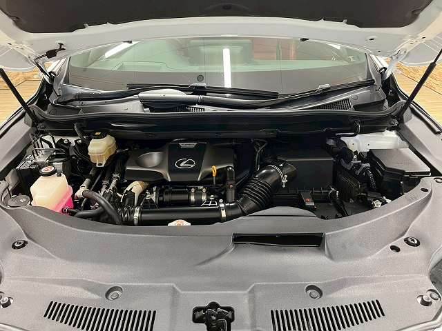 レクサス RXの画像18