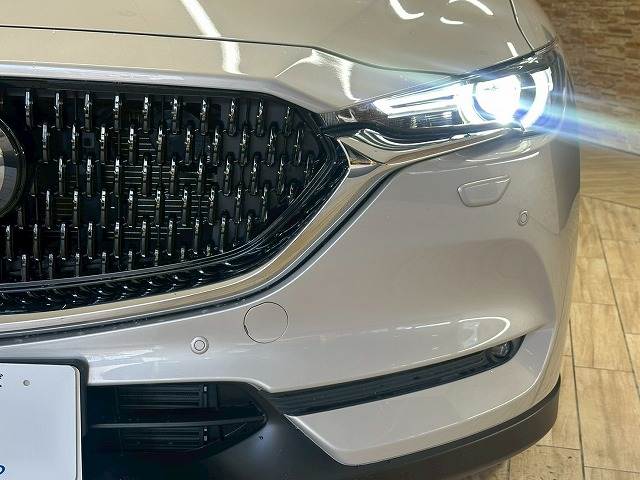 マツダ CX-8の画像20