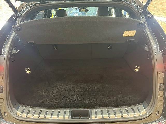 レクサス NXの画像13