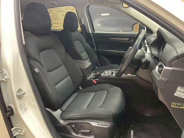 CX-520S PROACTIVE 内装他