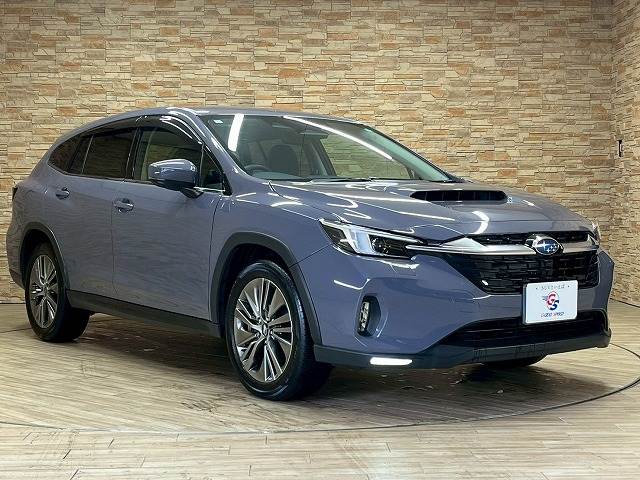 スバル レヴォーグ レイバックの画像15