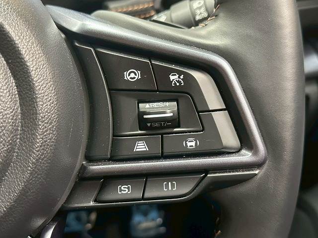 スバル レヴォーグ レイバックの画像8