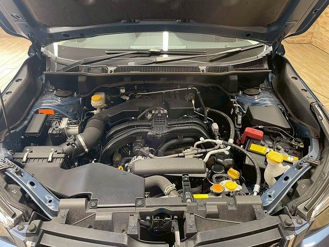 スバル&nbsp;フォレスターの画像18