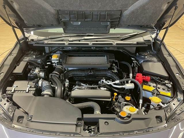 スバル レヴォーグ レイバックの画像18