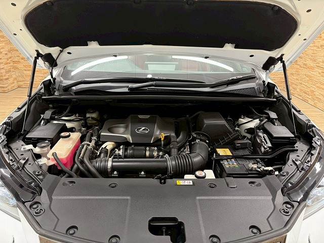 レクサス&nbsp;NXの画像18